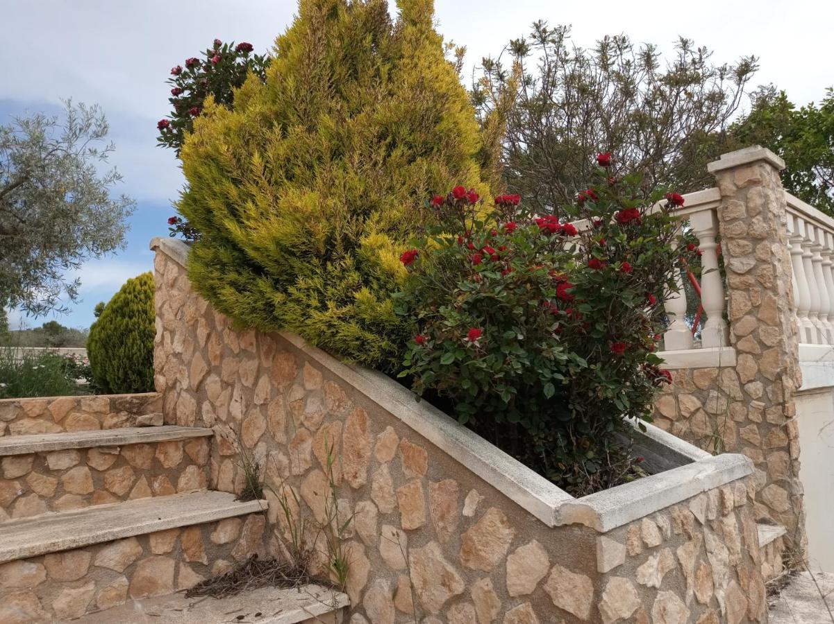 Casa De Pascual Villa Yecla Exterior photo
